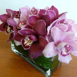 Low arrangement of pink and burgundy orchids in a clear glass vase