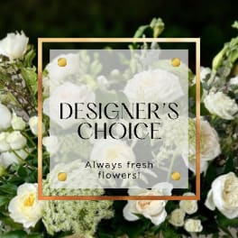Designer's Choice
