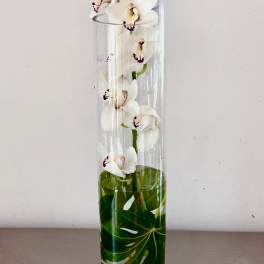 cymbidium orchid in a tall cylinder vase
