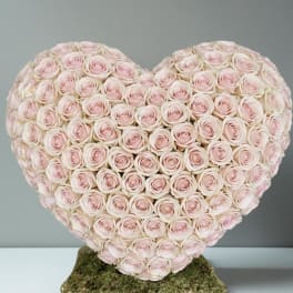 Heart-shaped arrangement of pale pink roses on a moss base