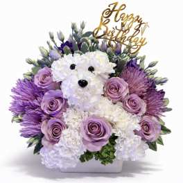Birthday flower arrangement with a white carnation dog, lavender roses, and purple mums in a white container.
