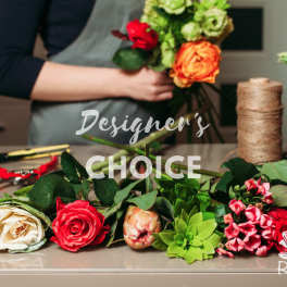 Designer's Choice 