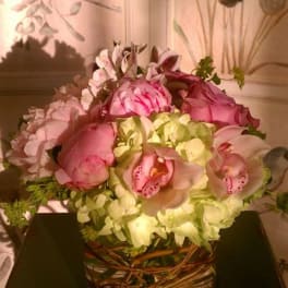 Peony Lover/26