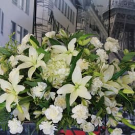 Calm River/26