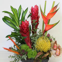 Tropical flower arrangement with red ginger and orange heliconia in a black vase