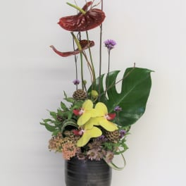 Tall floral arrangement in a dark vase with yellow orchids and red anthuriums