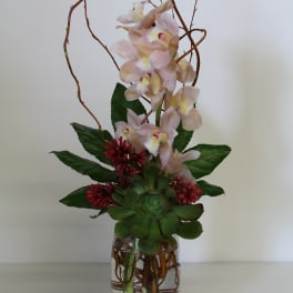 Pink orchids arranged in a glass vase with succulents and red accents