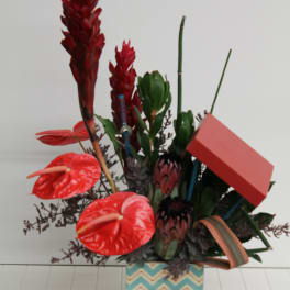 Tropical Love-V/26