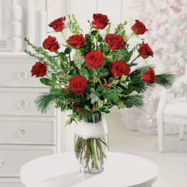Holiday Roses