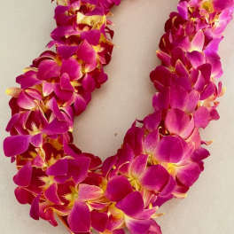 Pink and magenta orchid lei on a light background