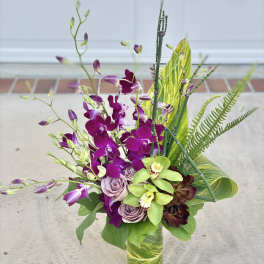 Orchid Dance