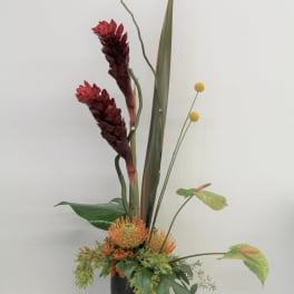 Tall tropical arrangement in a black vase with red blooms and orange accents