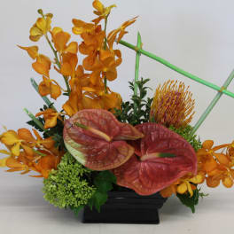 Orange orchid arrangement with red anthuriums in a black container