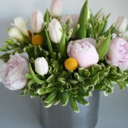 Peony Princess