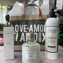 Archipelago Coconut by the Sea Collection