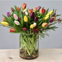 Mixed-color tulip arrangement in a clear glass cylinder vase with visible stems and stones at the base