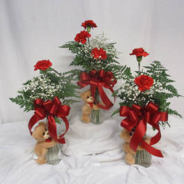Carnation Bear Hug - Red