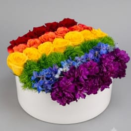 LGBTQ