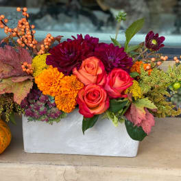 Autumn flower arrangement in a white rectangular container with a pumpkin beside it