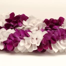 Fancy Leis
