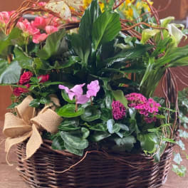 Spring Plant Basket
