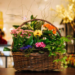 Flowering plant basket