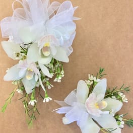 Two white orchid corsages with sheer ribbon bows on a tan background