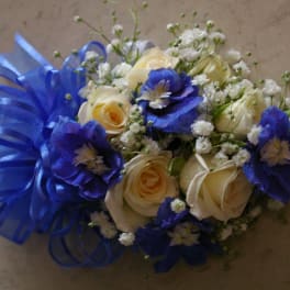 Midnigth blue