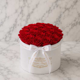 Round box of red roses tied with a white ribbon