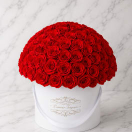 Large dome of red roses in a white round box