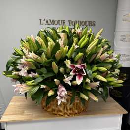 Basket of pink and white lilies with many unopened buds