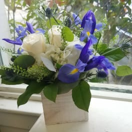 White roses and blue irises arranged in a square wooden vase