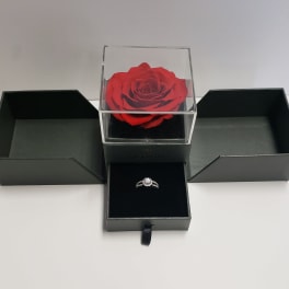 Red rose in a clear box with a ring in a black jewelry box