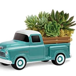 Turquoise toy pickup truck holding a succulent planter