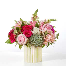 MAGENTA MUSINGS