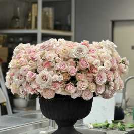 Large arrangement of pale pink and white roses in a black urn vase