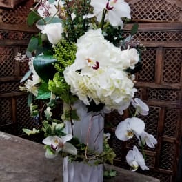 White orchid and hydrangea arrangement in a tall white vase