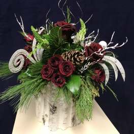 Arrangement of dark red roses in a white container with pine and pinecone accents