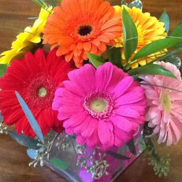 Bright gerbera daisy bouquet in pink, red, orange, yellow, and pale pink