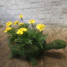 Yellow flowers arranged in a moss-covered turtle planter