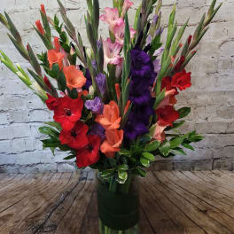 Glorious Gladiolus