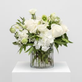 White roses and hydrangeas arranged in a clear glass vase