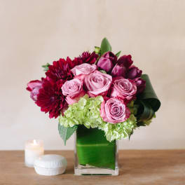 Dark Pinks