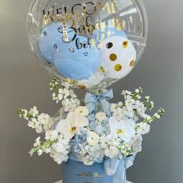 Welcome Baby Boy! ™