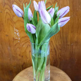 Lavender tulips in a clear glass vase