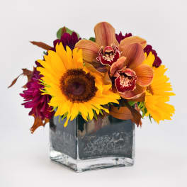 Fall in a Cube