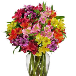 Colorful bouquet of alstroemeria in a clear glass vase