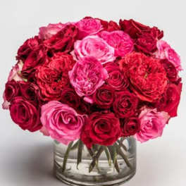 Bouquet of red and pink roses in a clear glass vase