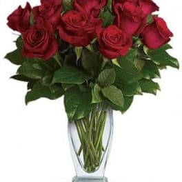 Red roses arranged in a clear glass vase