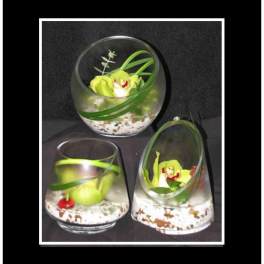 Three small glass vase arrangements with green orchids on a dark background